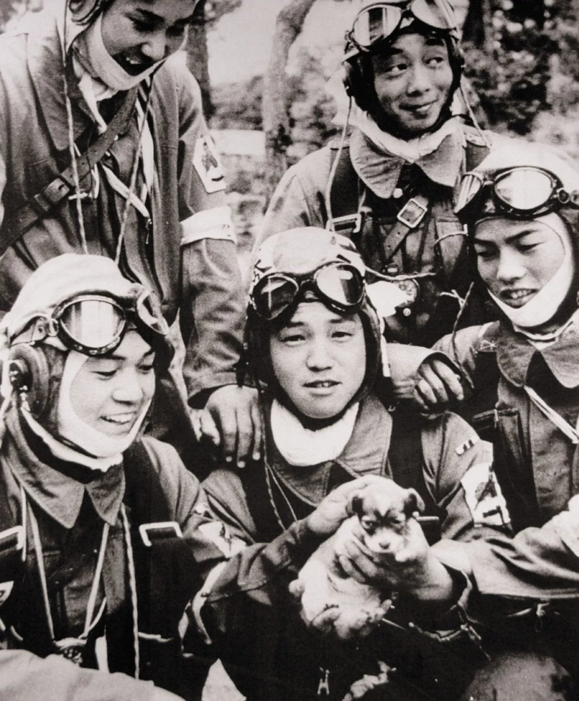 Kamikaze Pilots - The Faces Behind Japan's Ultimate Sacrifice